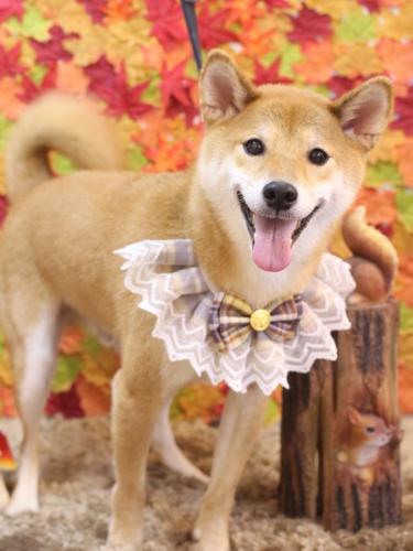 20241102れんたろうくん